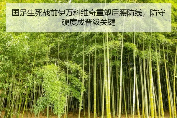国足生死战前伊万科维奇重塑后腰防线，防守硬度成晋级关键