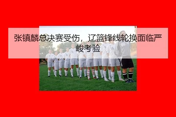 zhang-zhen-lin-zong-jue-sai-shou-shang-liao-lan-feng-xian-lun-huan-mian-lin-yan-jun-kao-yan-2-502.jpg