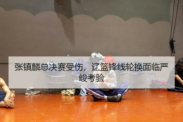 张镇麟总决赛受伤，辽篮锋线轮换面临严峻考验